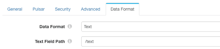 Data Format settings