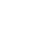 snow flake bug logo